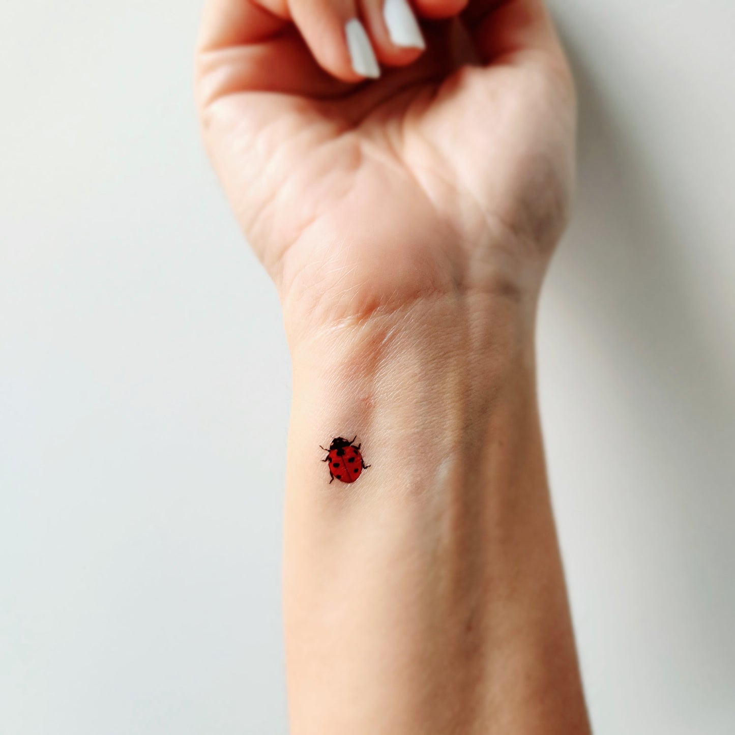 tatouages temporaires coccinelle rouge (lot de 8)