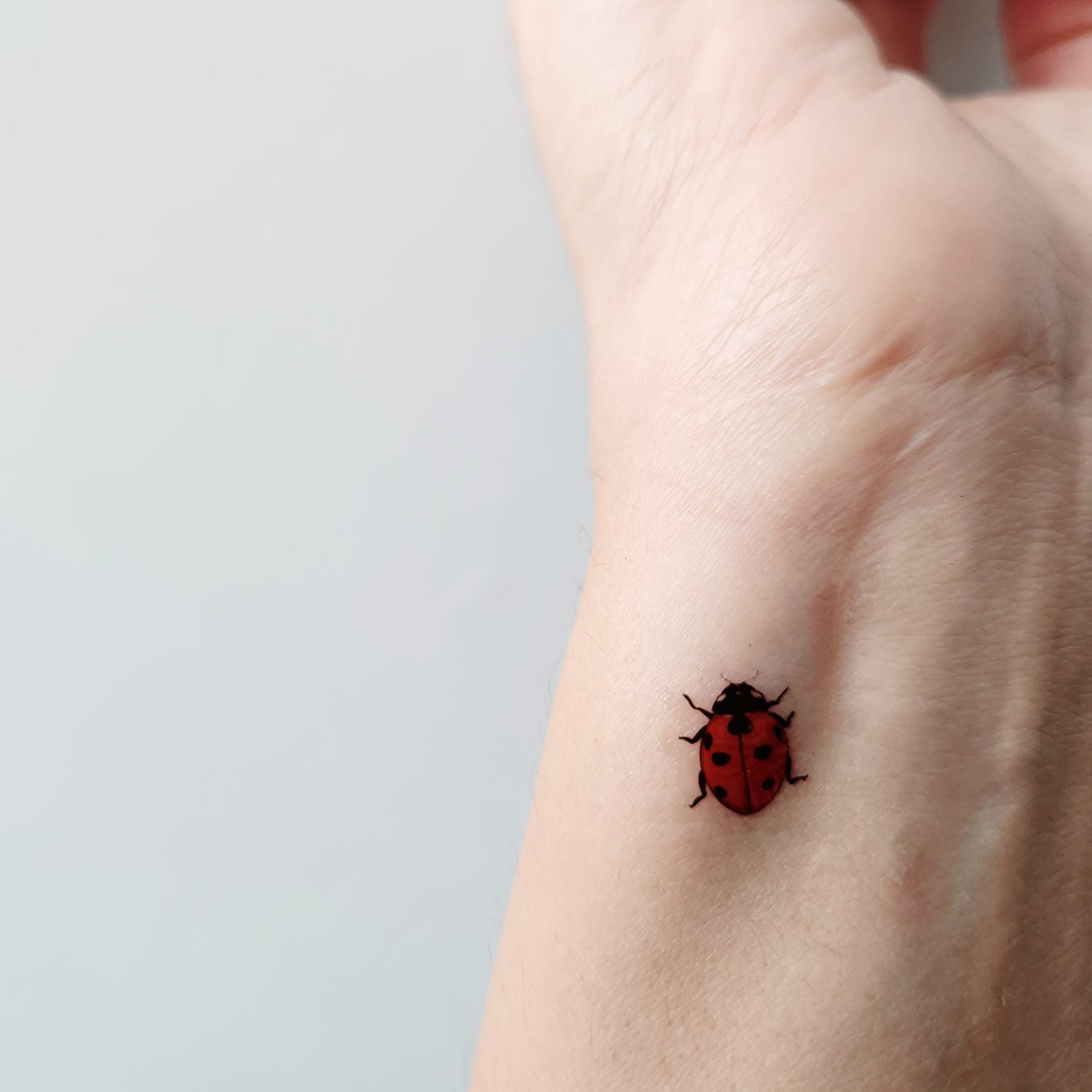 tatouages temporaires coccinelle rouge (lot de 8)