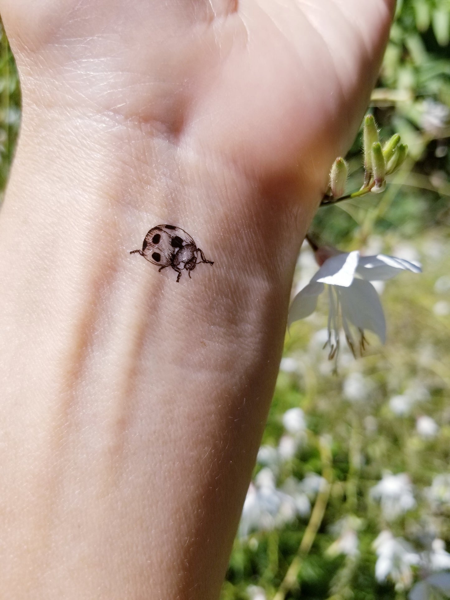 tatouage temporaire vintage coccinelle (set de 9)
