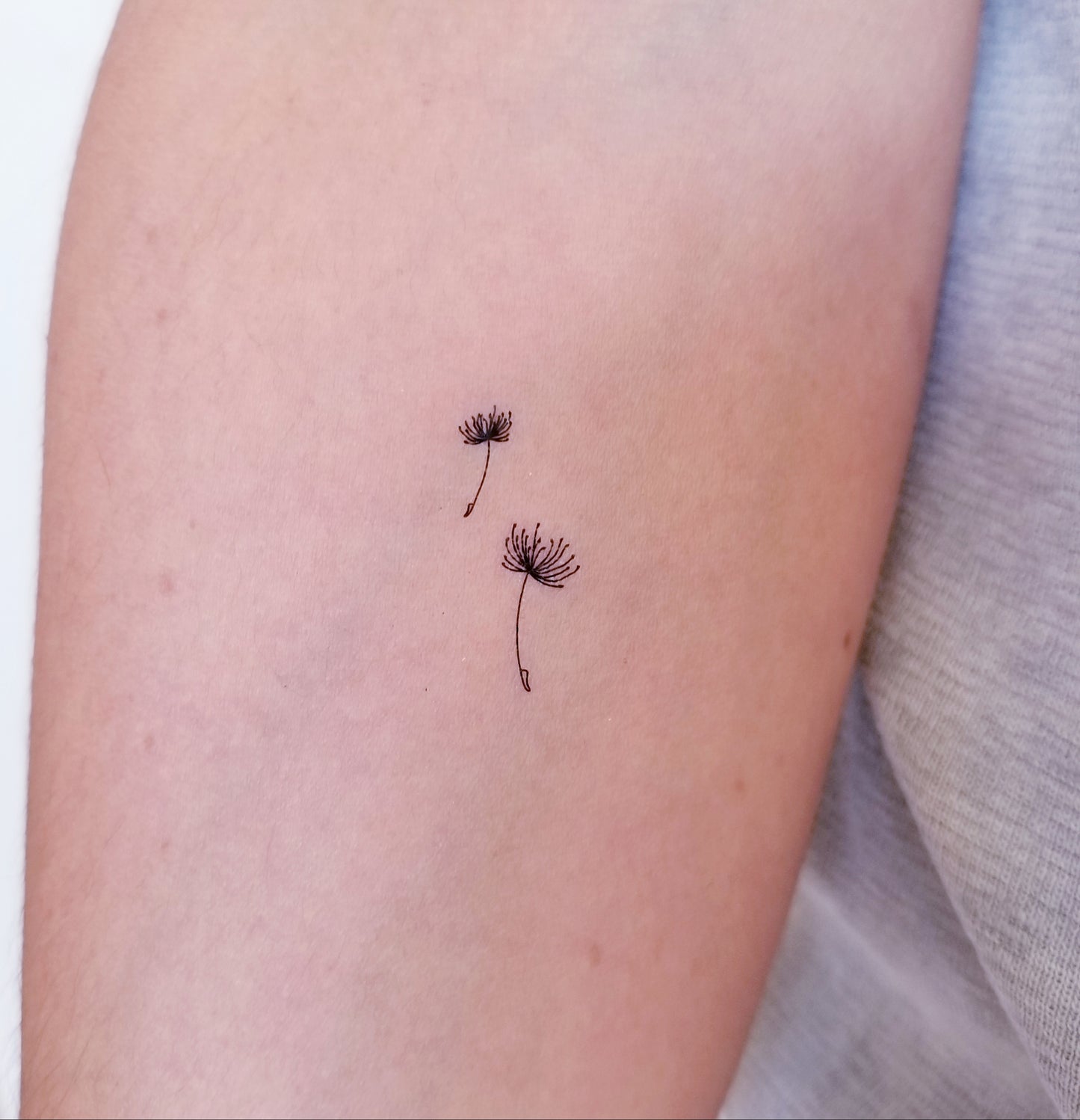 Tatouage temporaire de pissenlit (3 sets de 2)