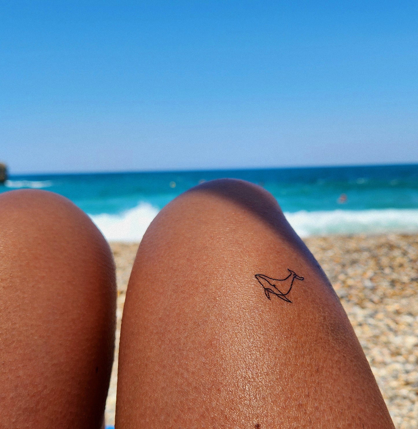 tatouage temporaire baleine minimaliste (lot de 6)