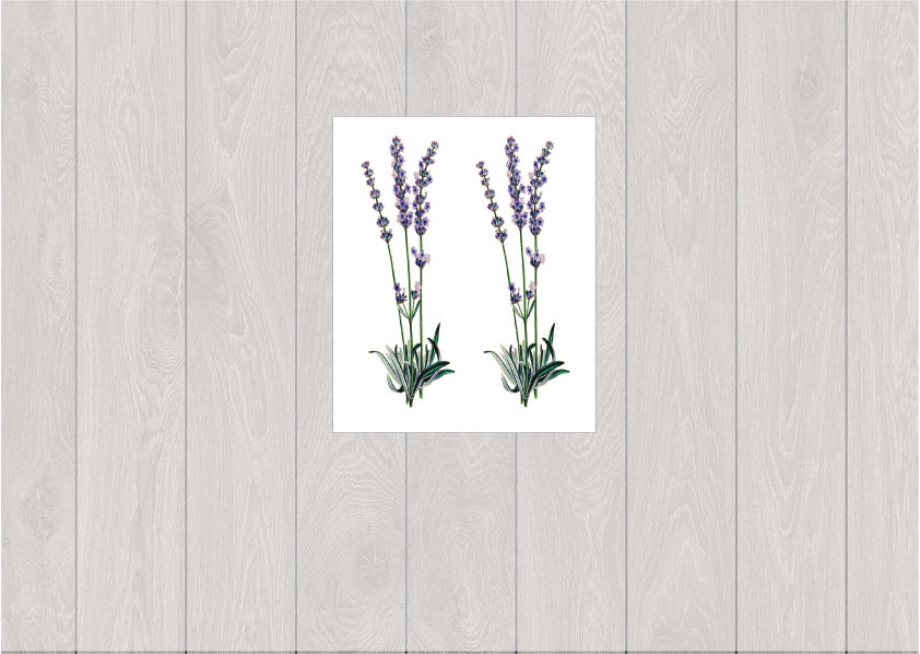 Tatouage temporaire de lavandes (lot de 2) - encredelicate
