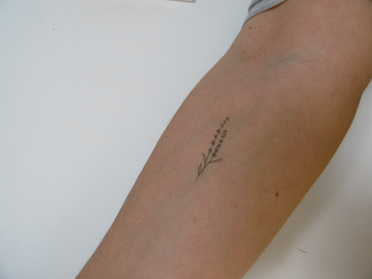 Tatouage temporaire artistique de lavande minimaliste (lot de 3)