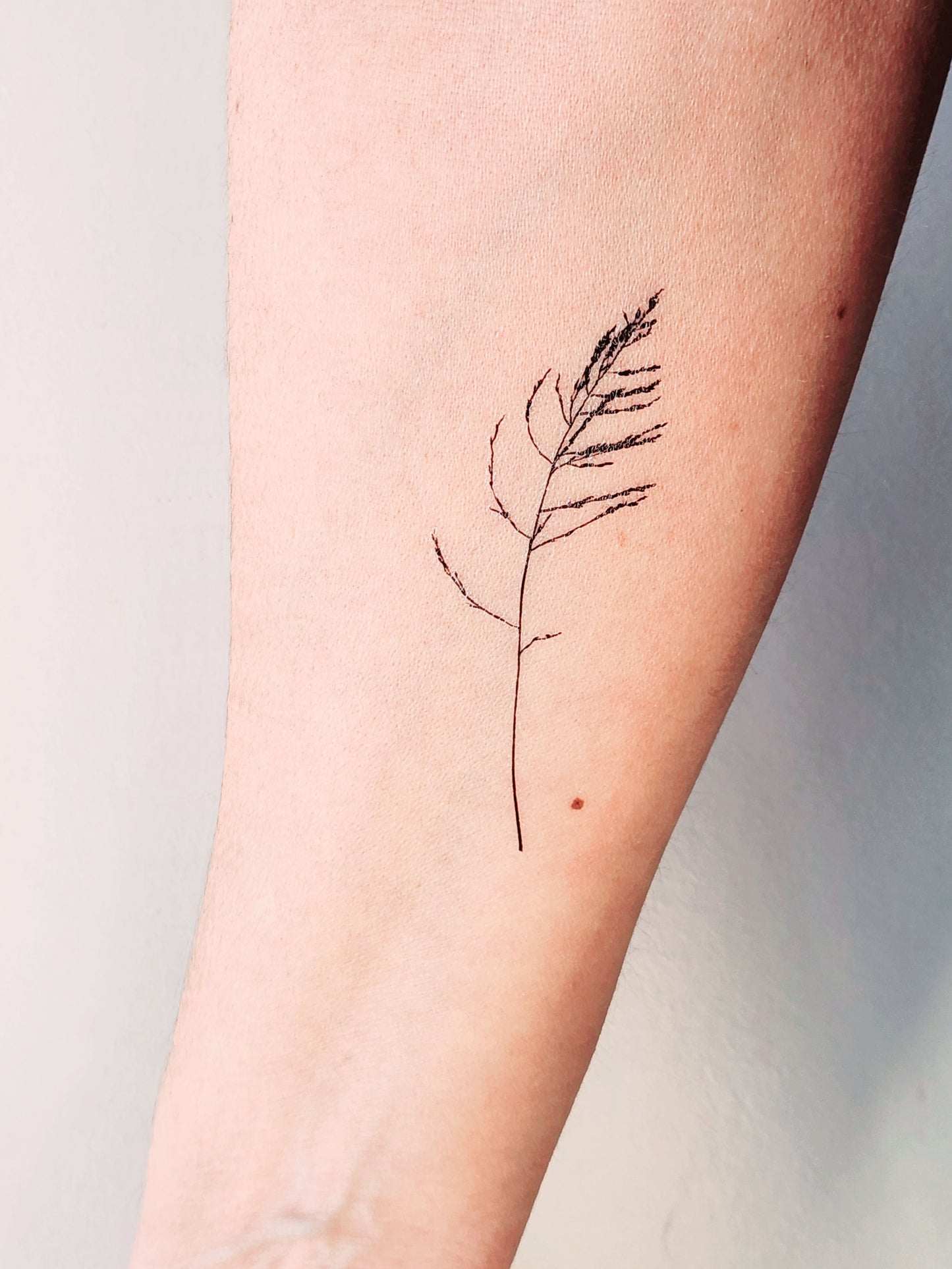 tatouage temporaire herbe sauvage