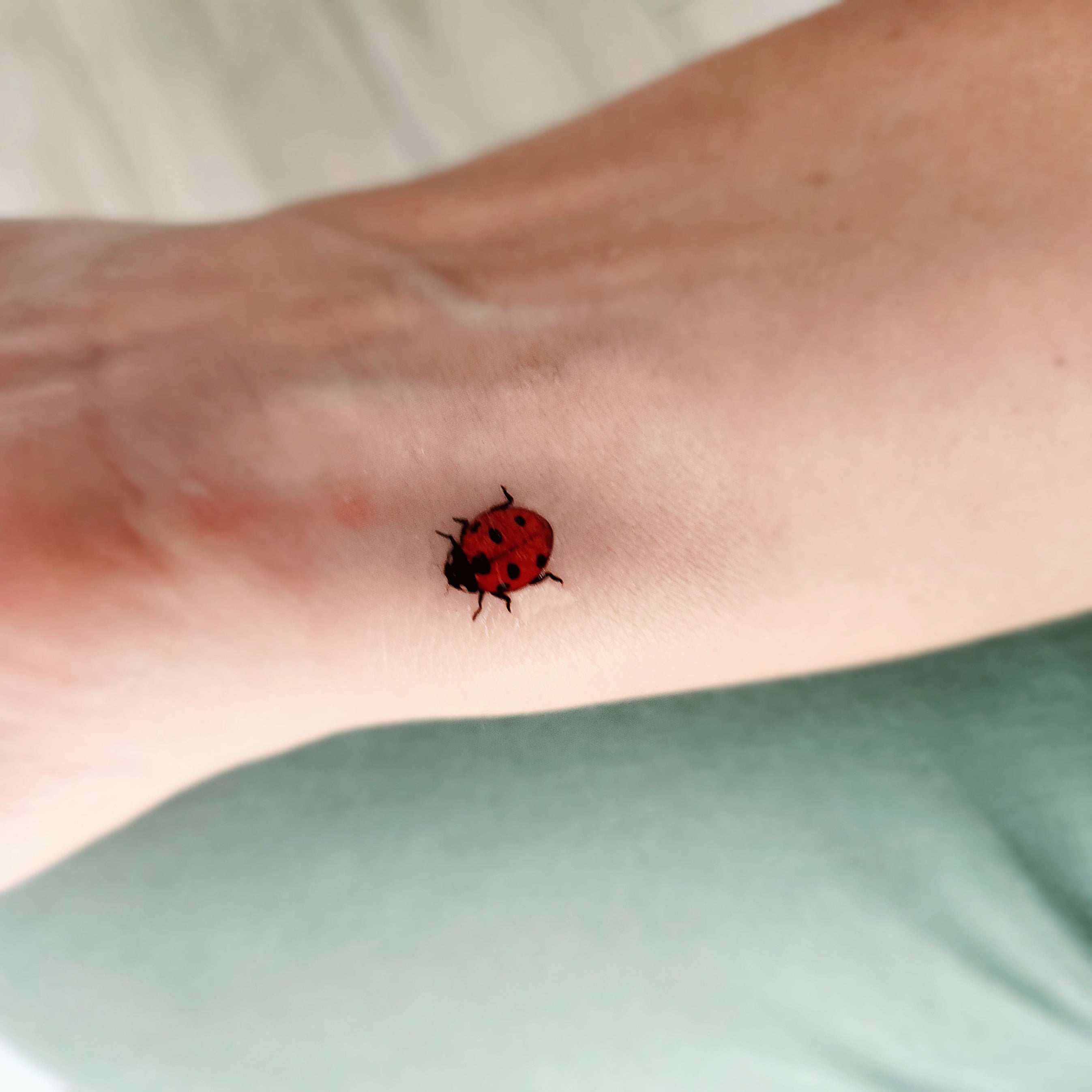 tatouages temporaires coccinelle rouge lot de 8