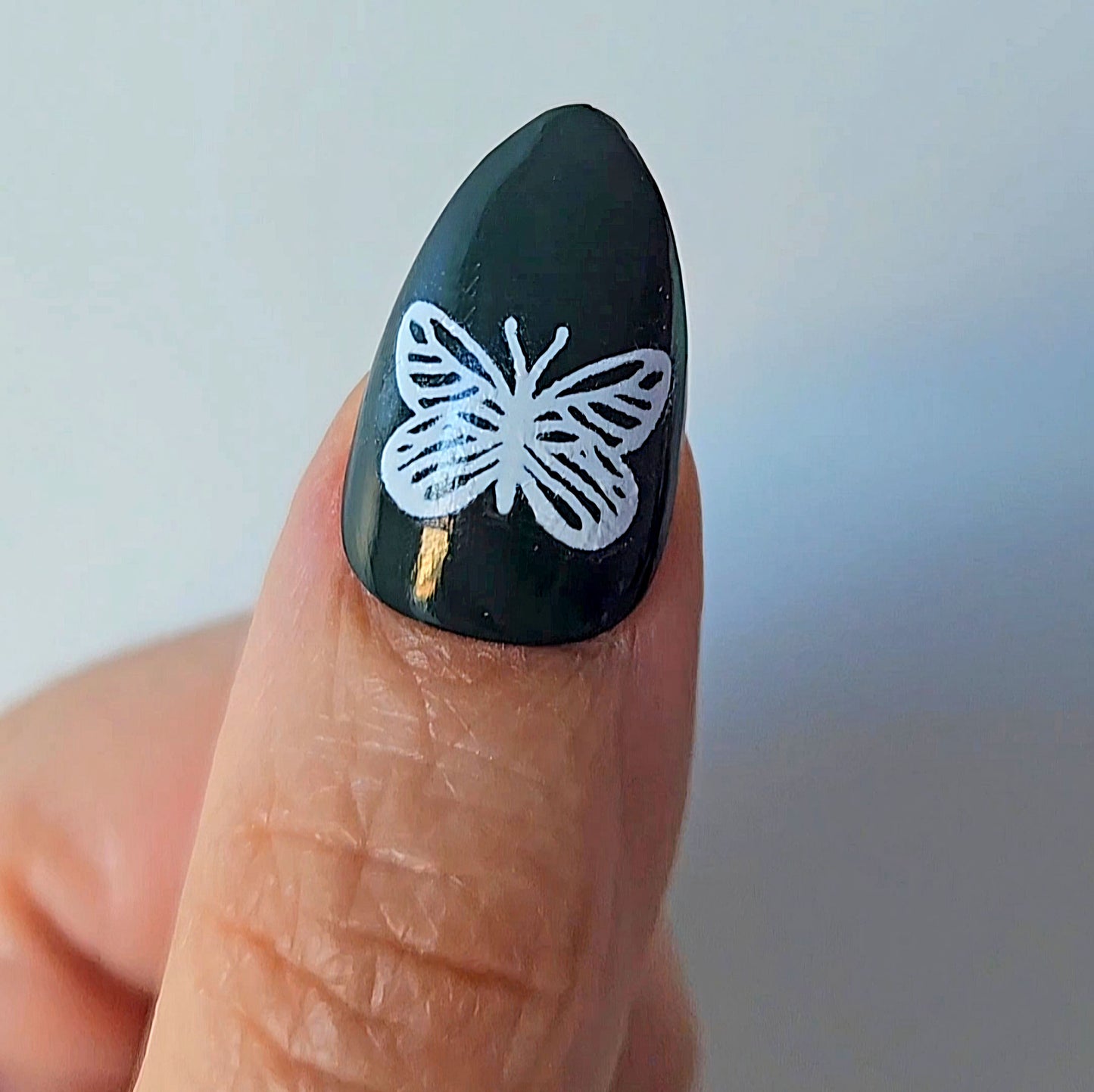 autocollants à l'eau papillons blancs pour nail art