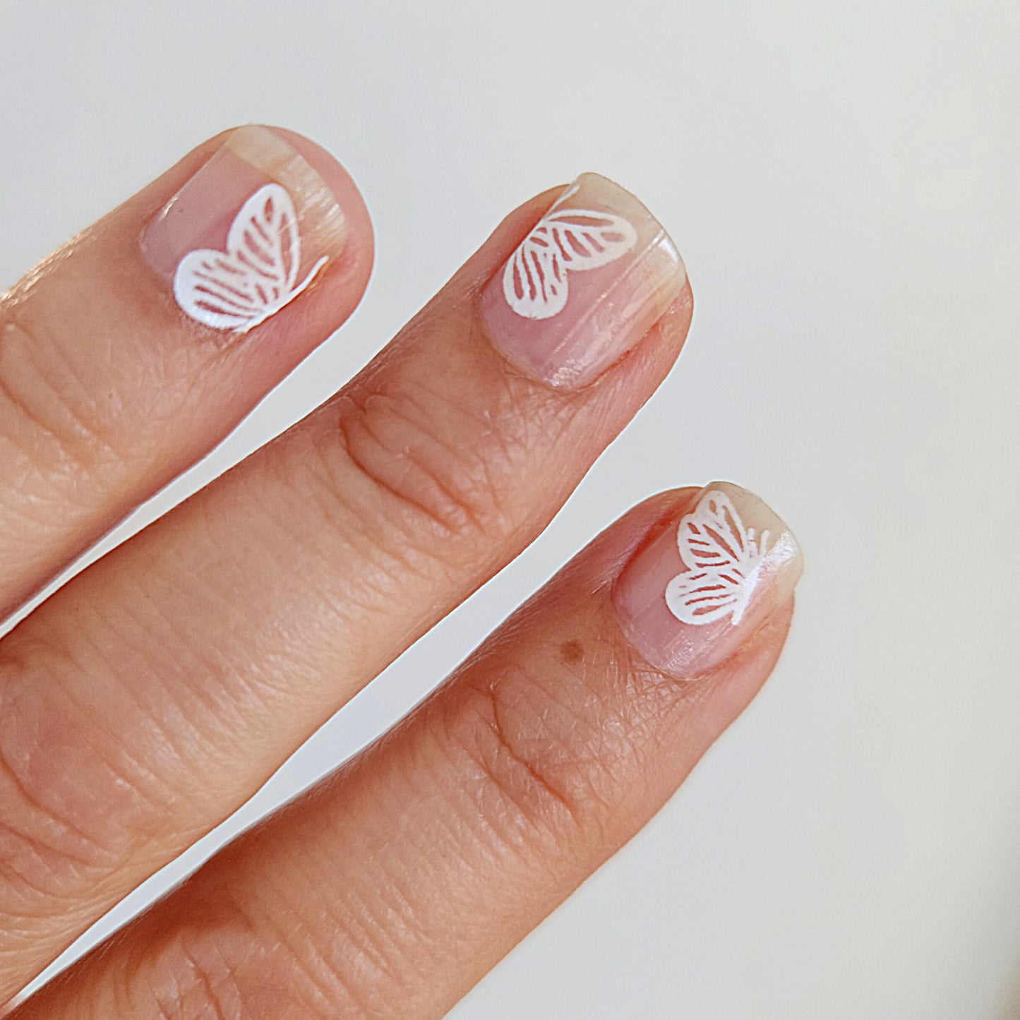 autocollants à l'eau papillons blancs pour nail art