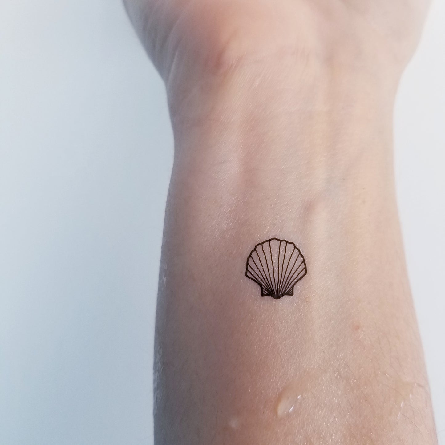 tatouage temporaire de coquillage (set de 6)